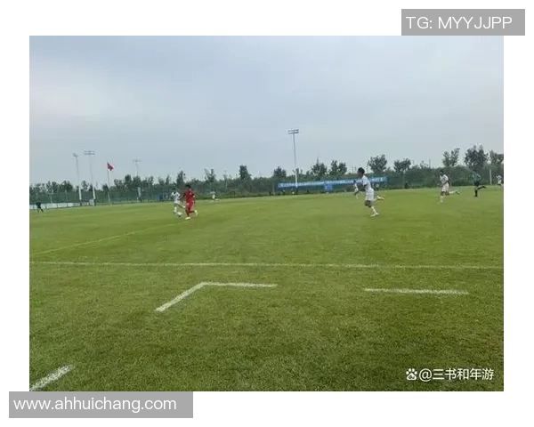 中国足球打假行动全面升级还原绿茵场上的真实与公正 中国足球打假行动全面升级还原绿茵场上的真实与公正