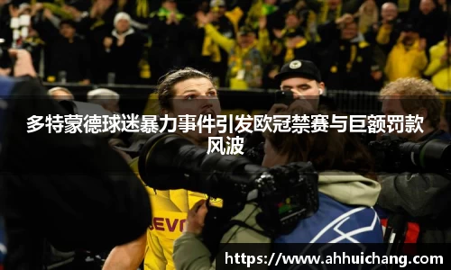 多特蒙德球迷暴力事件引发欧冠禁赛与巨额罚款风波